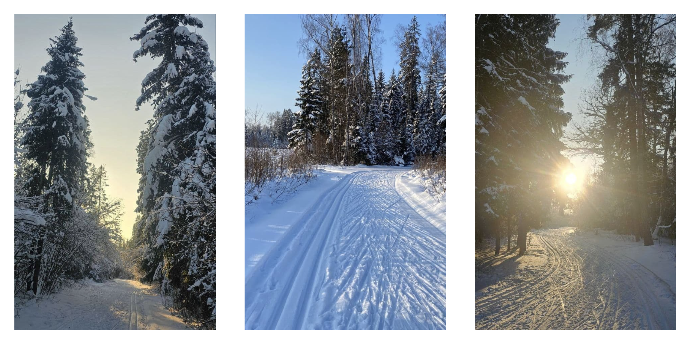 Приглашаем на лыжню!